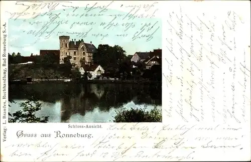 Ak Ronneburg in Thüringen, Schloss vom Teich aus