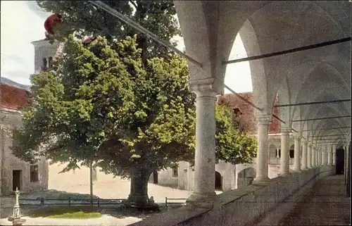 Ak Millstatt am See Kärnten, Klostergang