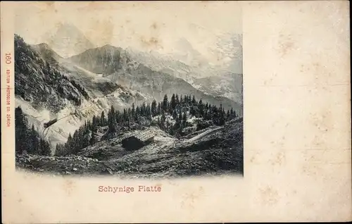 Ak Berner Oberland Kanton Bern Schweiz, Schynige Platte