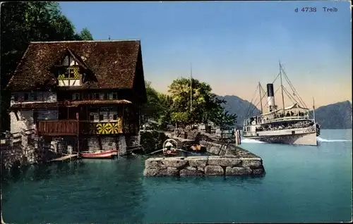 Ak Treib Seelisberg Kanton Uri, Uferansicht, Dampfer