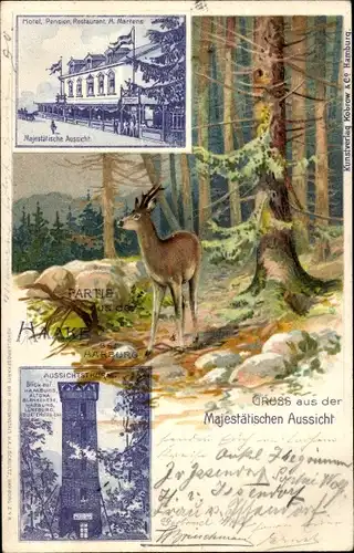 Litho Hamburg Harburg Haake, Hotel und Restaurant Majestätische Aussicht, Rehe, Aussichtsturm