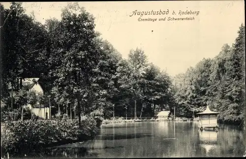 Ak Liegau Augustusbad Radeberg in Sachsen, Eremitage und Schwanenteich