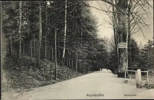 Ak Liegau Augustusbad Radeberg in Sachsen, Waldpartie