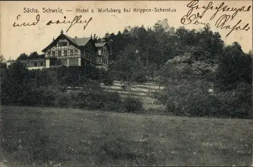 Ak Krippen Bad Schandau Sächsische Schweiz, Hotel z. Wolfsberg