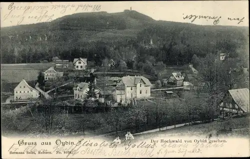 Ak Oybin in Sachsen, Blick auf Hochwald, Teilansicht