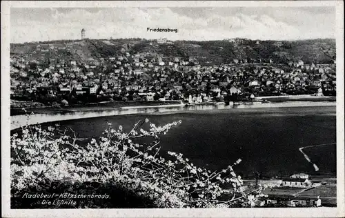 Ak Kötzschenbroda Radebeul in Sachsen, Die Lößnitz, Friedensburg, Panorama