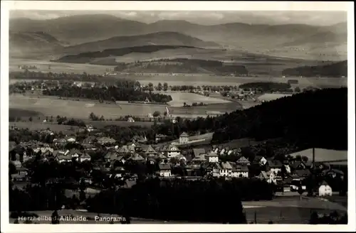 Ak Polanica Zdrój Bad Altheide Schlesien, Panorama vom Ort