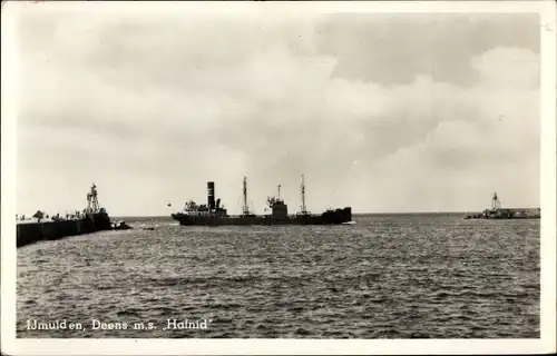 Ak MS Hafnid, Frachtschiff, IJmuiden