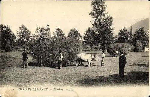Ak Challes les Eaux Savoie, Heuernte, Rindergespann, Landwirtschaft
