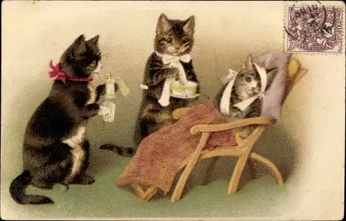 Litho Verwundete Katze bekommt Medizin und Suppe