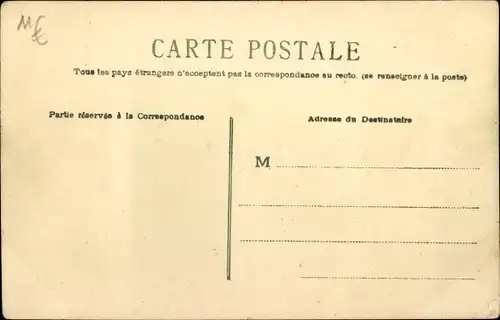 Litho Verwundete Katze bekommt Medizin und Suppe