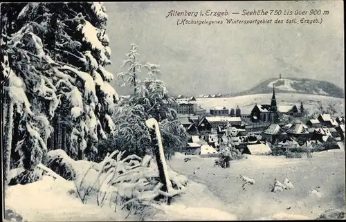Ak Altenberg im Erzgebirge, Winter, Panorama