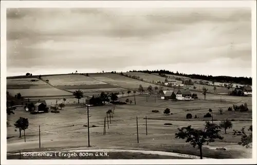 Ak Schellerhau Altenberg im Erzgebirge, Panorama