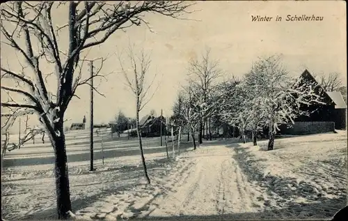 Ak Schellerhau Altenberg im Erzgebirge, Winteransicht