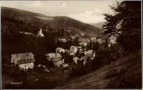 Ak Kipsdorf Altenberg Erzgebirge, Talblick auf den Ort, Wohnhäuser, Wald