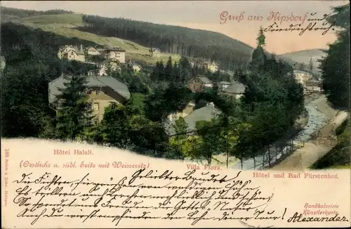 Ak Kipsdorf Altenberg im Erzgebirge, Hotel Halali, Villa Flora, Hotel und Bad Fürstenhof