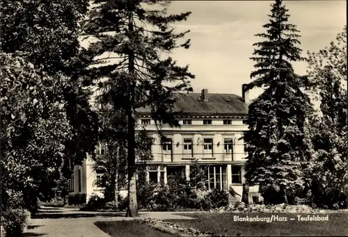 Ak Blankenburg am Harz, Teufelsbad