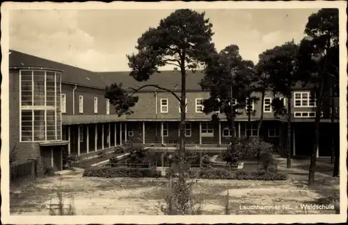 Ak Lauchhammer in der Niederlausitz, Waldschule