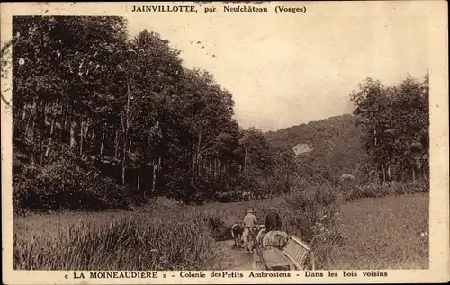 Ak Jainvillotte Vosges, La Moineaudiere, Colonie des Petits Ambrosiens