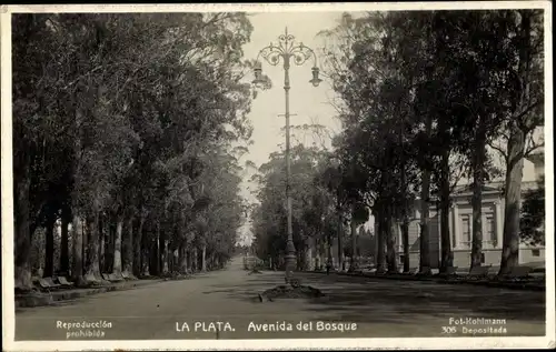 Ak La Plata Argentinien, Avenida del Bosque