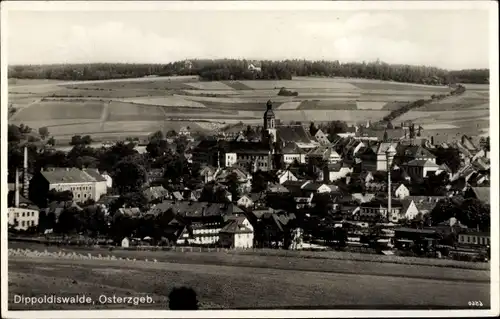 Ak Dippoldiswalde im Osterzgebirge, Sicht auf den Ort