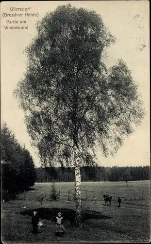 Ak Ullersdorf Radeberg in Sachsen, Partie am Waldesrand