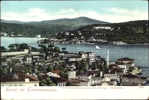 Ak Konstantinopel Istanbul Türkei, Vue d'Arnaout-Keuy sur la cote d'Europe, Bosphore