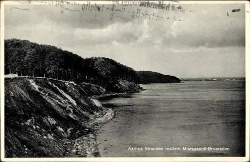 Ak Århus Aarhus Dänemark, Stranden mellem Moesgaard Omereden