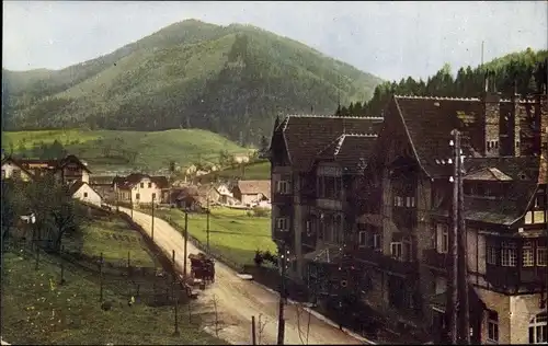 Ak Steinhaus am Semmering Steiermark, Teilansicht