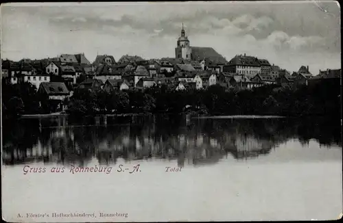 Ak Ronneburg in Thüringen, Totalansicht, Teich