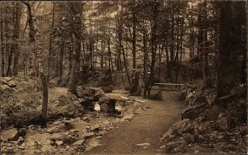 Ak Spa Wallonie Lüttich, Promenade Meyerbeer