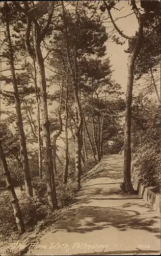 Ak Folkestone Kent England, The Pine Walk