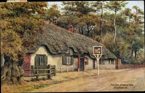 Künstler Ak New Forest Hampshire England, The Cat & Fiddle Inn