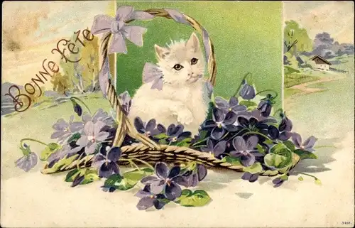 Präge Litho Glückwunsch, weiße Katze im Korb, Veilchen