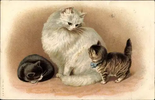 Litho Weiße Katze mit zwei jungen Kätzchen