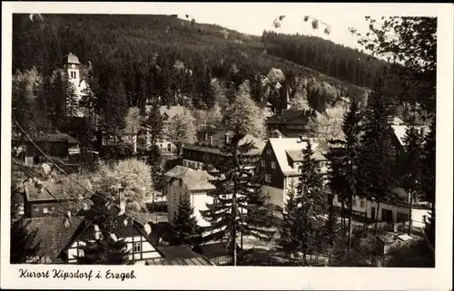 Ak Kipsdorf Altenberg im Erzgebirge, Ortsansicht