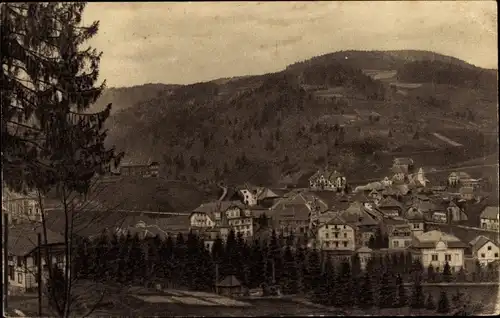 Ak Todtmoos im Schwarzwald, Teilansicht