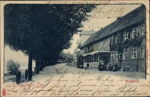 Ak Ratzeburg im Herzogtum Lauenburg, Weinberg