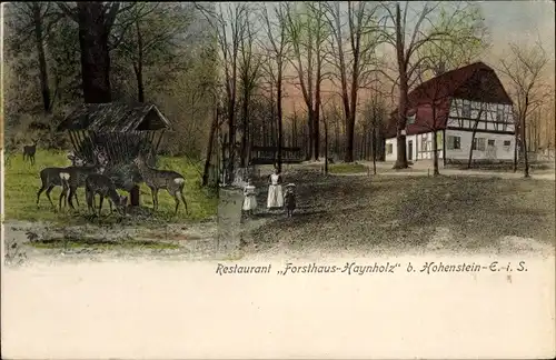 Ak Hohenstein Ernstthal in Sachsen, Restaurant Forsthaus Haynholz, Wildfütterung