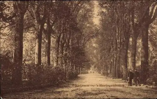 Ak 's Hertogenbosch Nordbrabant Niederlande, Plantsoen, Allee