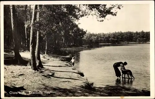 Ak Oisterwijk Nordbrabant Niederlande, Diaconie-Ven, Mann mit Hund im Wasser