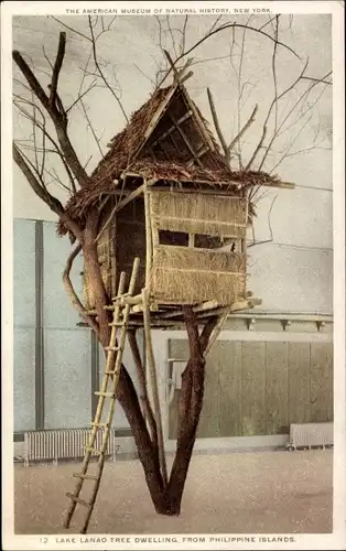 PC New York City USA, Lake Lanoa Tree dwelling from Philippine, American museum of natural history