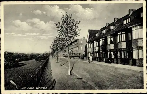 Ak Den Haag Südholland, Larixlaan