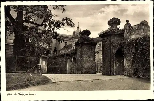 Ak Dessau in Sachsen Anhalt, Partie am Lustgartentor