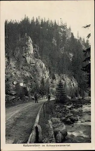 Ak Zöblitz Marienberg im Erzgebirge, Katzenstein im Schwarzwassertal