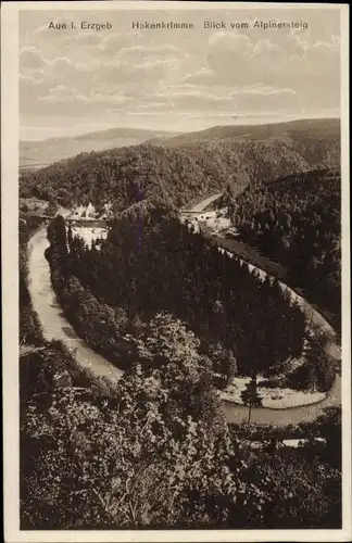 Ak Aue im Erzgebirge Sachsen, Hakenkrimme, Blick vom Alpinensteig