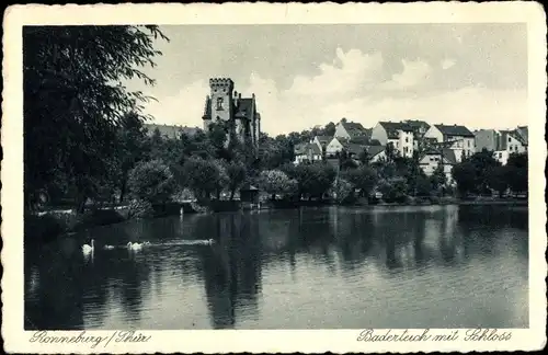 Ak Ronneburg in Thüringen, Baderteich mit Schloss