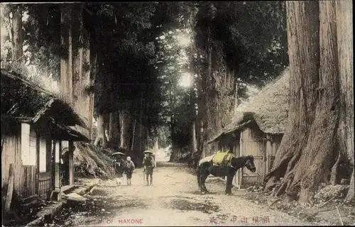 Ak Hakone Präfektur Kanagawa Japan, Straßenpartie, Wohnhäuser, Passanten, Pferd