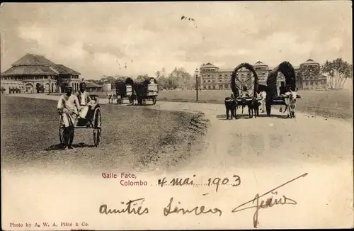 Ak Colombo Ceylon Sri Lanka, Bauern unterwegs, Viehwagen