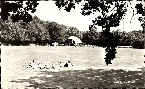 Ak Zeist Utrecht Niederlande, Bisonpark